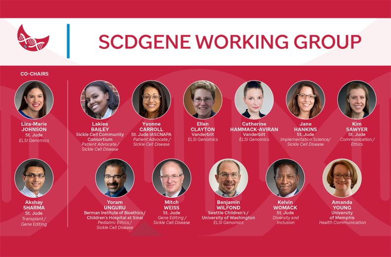 SCD Working Group member photos